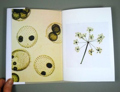 handmade books by Michelle Abadie