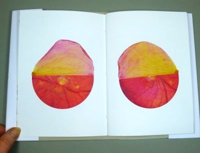 handmade books by Michelle Abadie